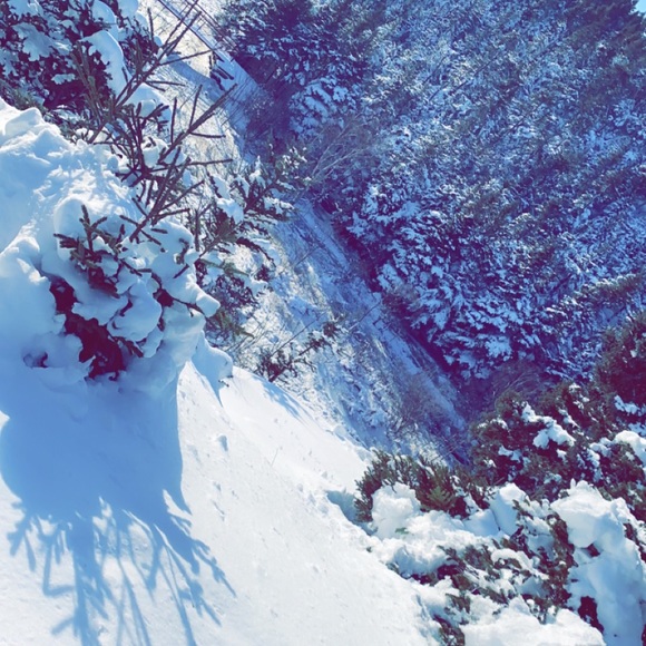 Meet your Posher, London - Picture 1 of 1